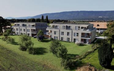 Appartement 3.5 pièces - image - 5