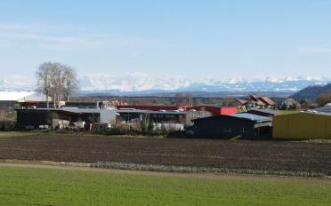 Wohnung 3.5 Zimmer - image - 2