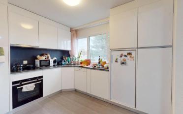 Wohnung 2.5 Zimmer - image - 6