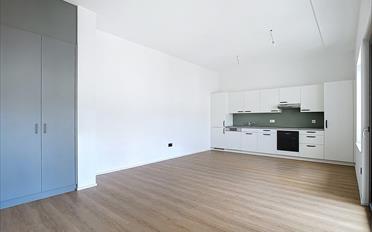 Wohnung 2.5 Zimmer - image - 4