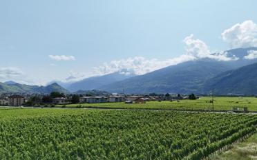 Villa 5.5 Zimmer - image - 4