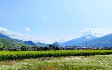 Villa 5.5 Zimmer - image - 5