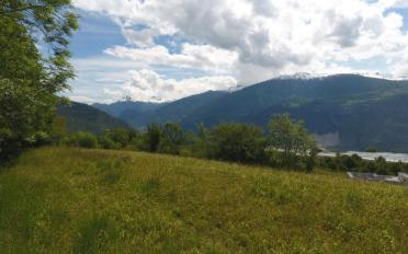 Einfamilienhaus 5.5 Zimmer - image - 3