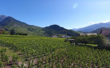 Terrain à bâtir - image - 1