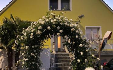 Single house 6.5 rooms - image - 1