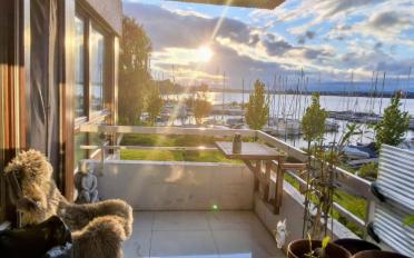 Furnished flat 2.5 rooms - image - 9