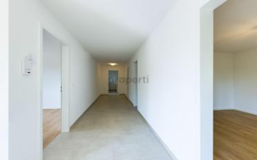 Appartement terrasse 3.5 pièces - image - 8