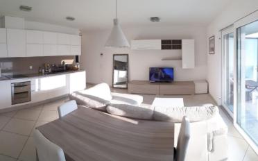 Wohnung 2.5 Zimmer - image - 1