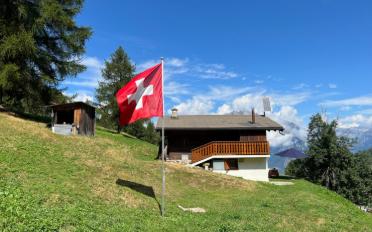 Chalet 3 rooms - image - 1