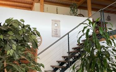 Wohnung 5.5 Zimmer - image - 7