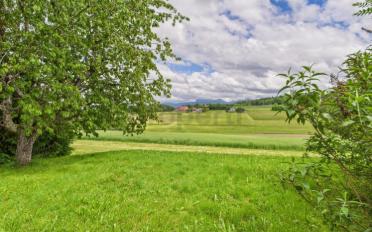 Einfamilienhaus 9 Zimmer - image - 12