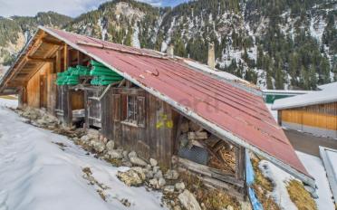 Einfamilienhaus 12 Zimmer - image - 4