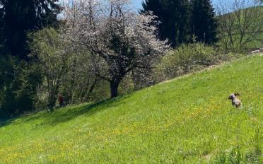 Apartment 3.5 rooms - image - 11