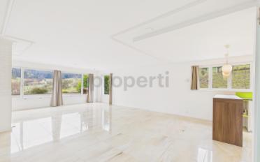 Einfamilienhaus 10.5 Zimmer - image - 3