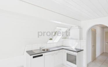 Roof flat 3.5 rooms - image - 2