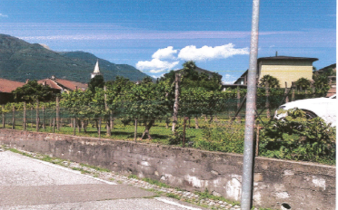 Einfamilienhaus 5 Zimmer - image - 6