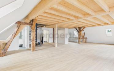 Duplex 2.5 rooms - image - 2