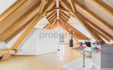 Wohnung ein Zimmer - image - 1