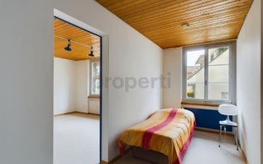 Duplex 5.5 pièces - image - 8