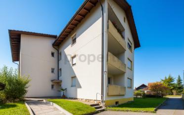 Wohnung 2.5 Zimmer - image - 1