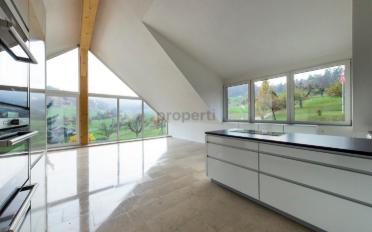 Roof flat 3.5 rooms - image - 2