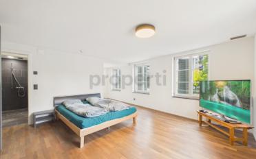Duplex 2.5 pièces - image - 6