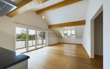Wohnung 3.5 Zimmer - image - 1
