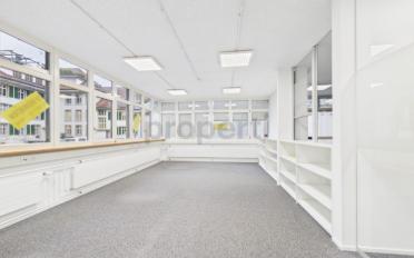 Bureau 6.5 pièces - image - 2