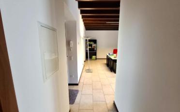 Wohnung 2.5 Zimmer - image - 11