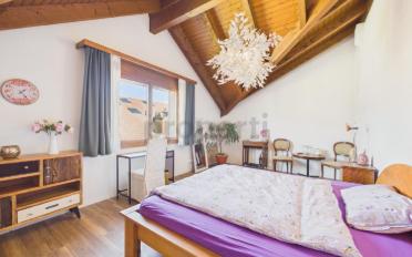 Duplex 4.5 Zimmer - image - 5