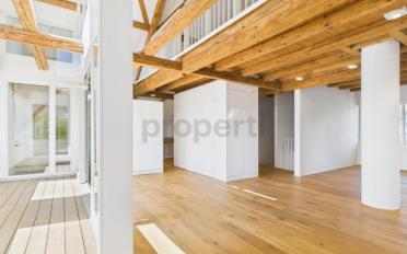 Attic flat 2.5 rooms - image - 1