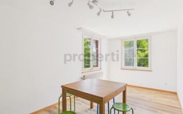 Appartement 4.5 pièces - image - 4