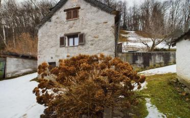 Rustic house 3 rooms - image - 2