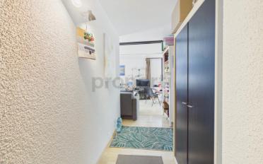 Wohnung 2.5 Zimmer - image - 4