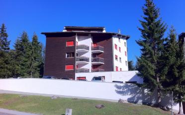 Wohnung 4.5 Zimmer - image - 2