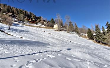 Terrain à bâtir - image - 5