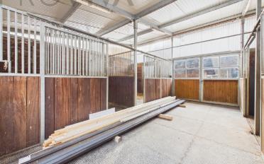 Einfamilienhaus 5 Zimmer - image - 4