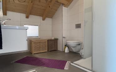 Dachwohnung 4.5 Zimmer - image - 5