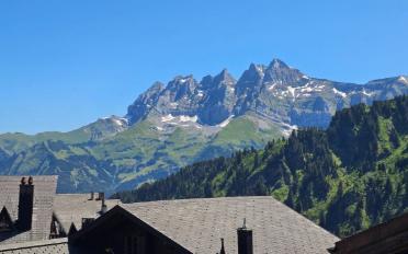 Chalet 10.5 rooms - image - 2