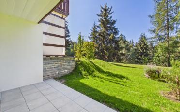 Wohnung ein Zimmer - image - 2
