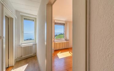 Mixed use property 11 rooms - image - 2