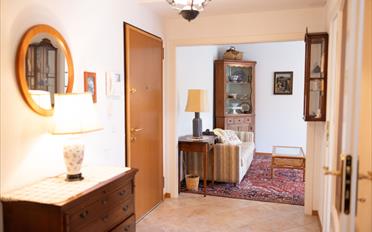 Terrace flat 2.5 rooms - image - 5