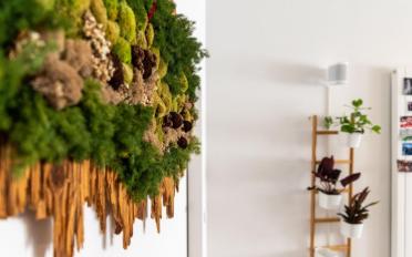 Apartment - image - 13