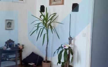 Appartement 4 pièces - image - 2