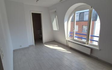 Wohnung ein Zimmer - image - 4