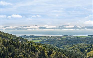 Villa 6.5 pièces - image - 18