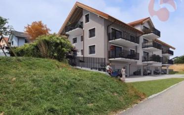 Wohnung 2.5 Zimmer - image - 1