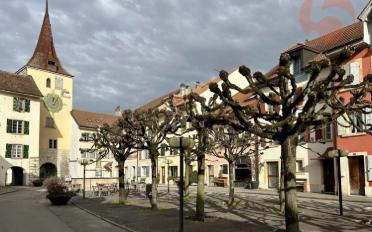 Attique 4.5 pièces - image - 8