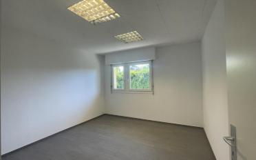 Büro - image - 1