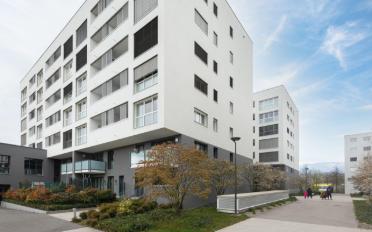 Apartment 3.5 rooms - image - 9